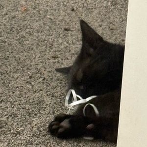 Meet your Posher, Gabriella